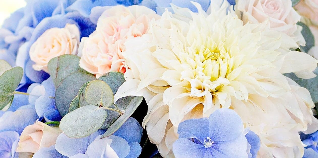 Image for Conklyn’s Florist