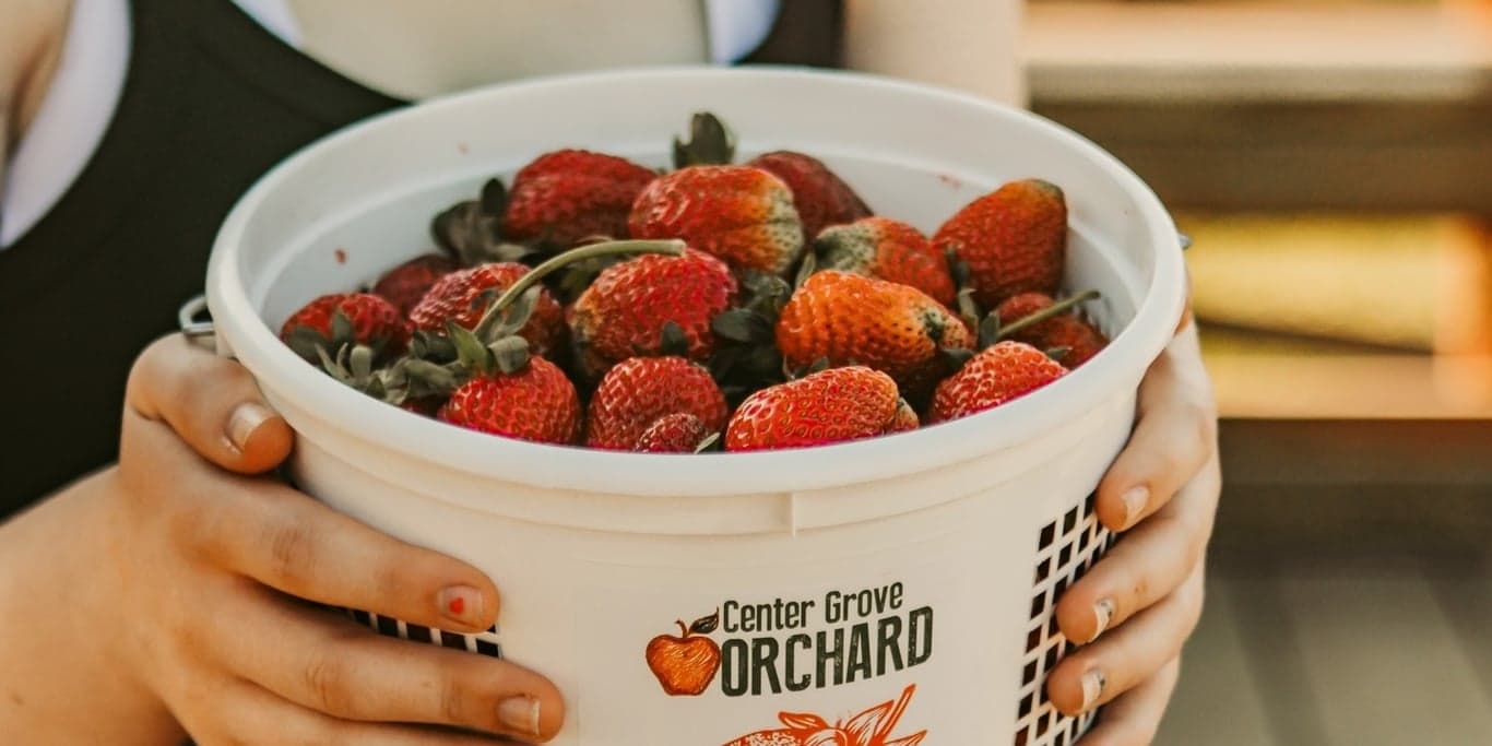 Image for Center Grove Orchard