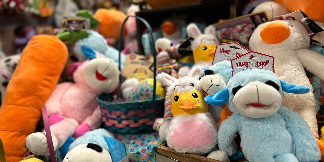 Image for Mutts & Co.