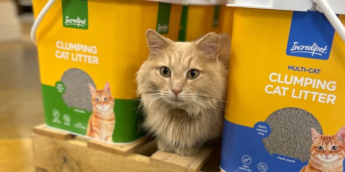 Image for Feeders Pet Supply