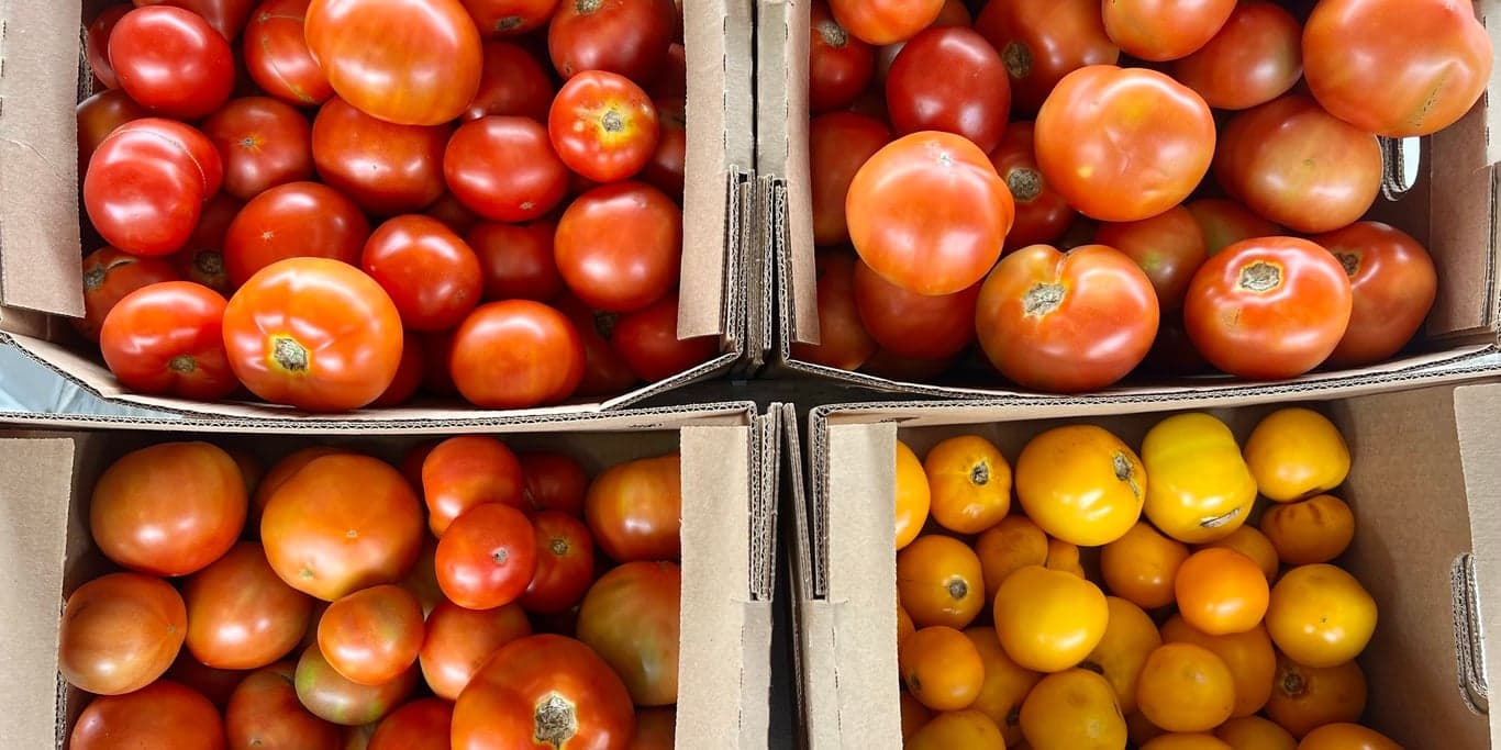 Image for Capitol Market