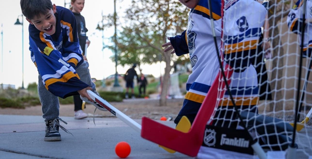 Image for New Mexico Goatheads