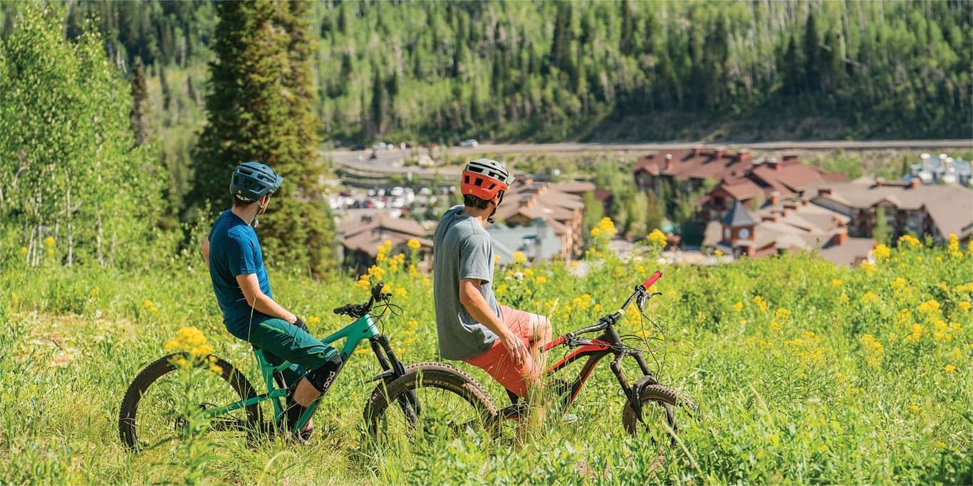 Image for Solitude Mountain Resort