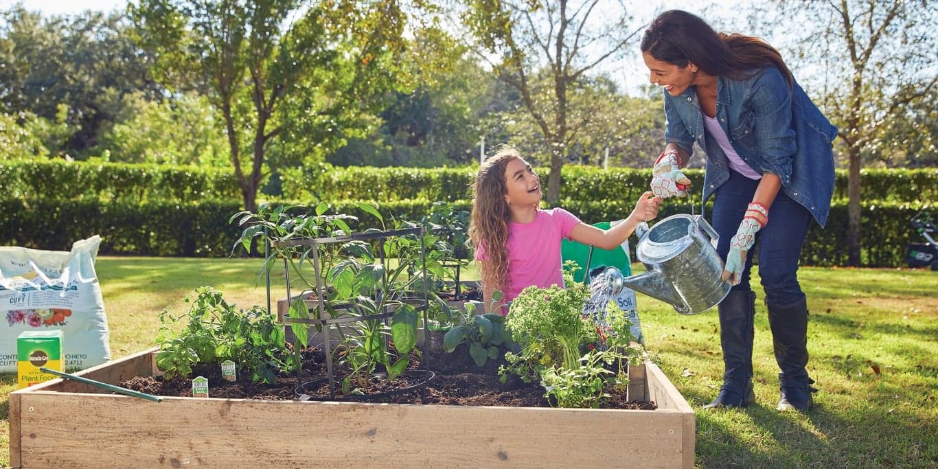 Image for Rocky's Ace Hardware