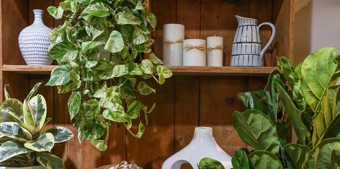 Image for Roger's Gardens