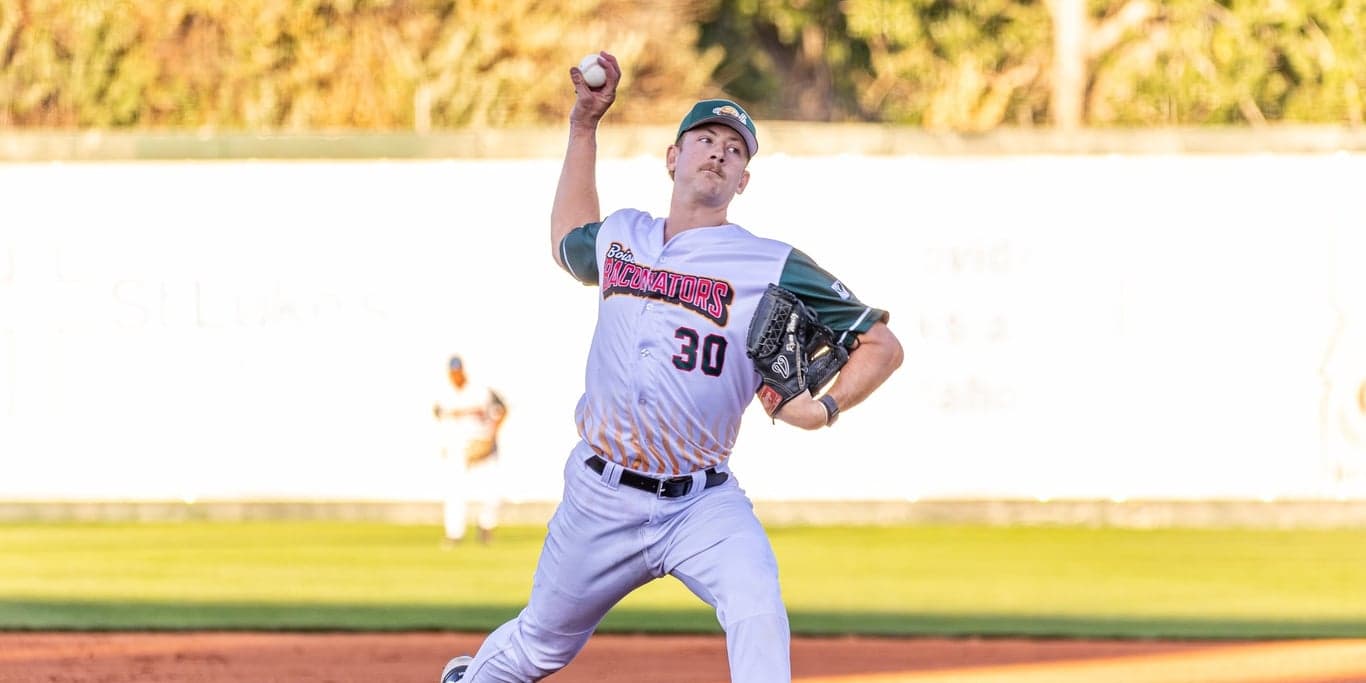 Image for Boise Hawks