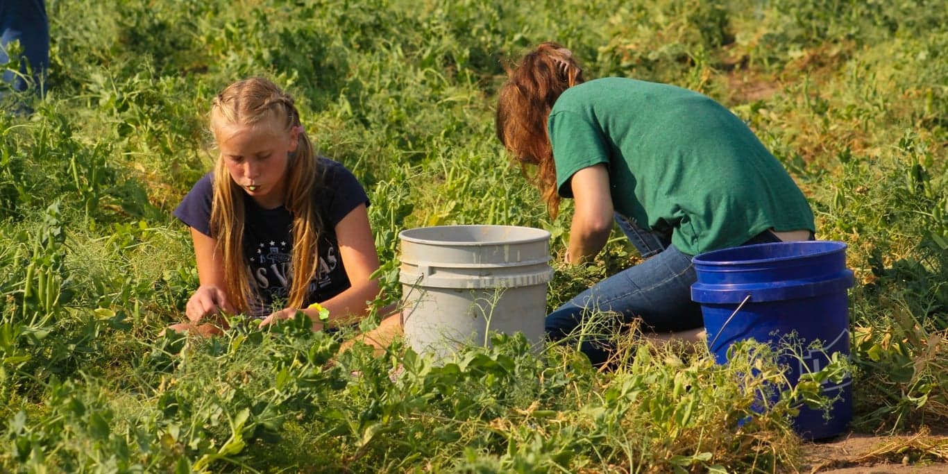 Image for Food + Farm Exploration Center