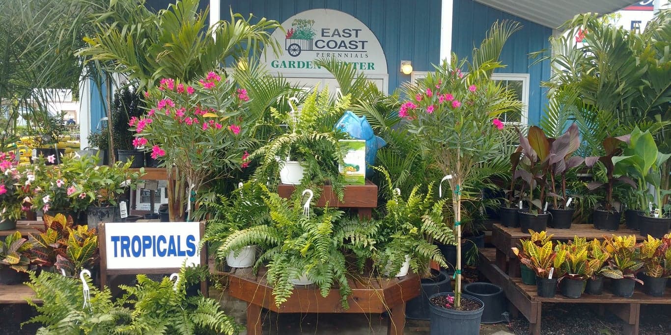 Image for East Coast Garden Center