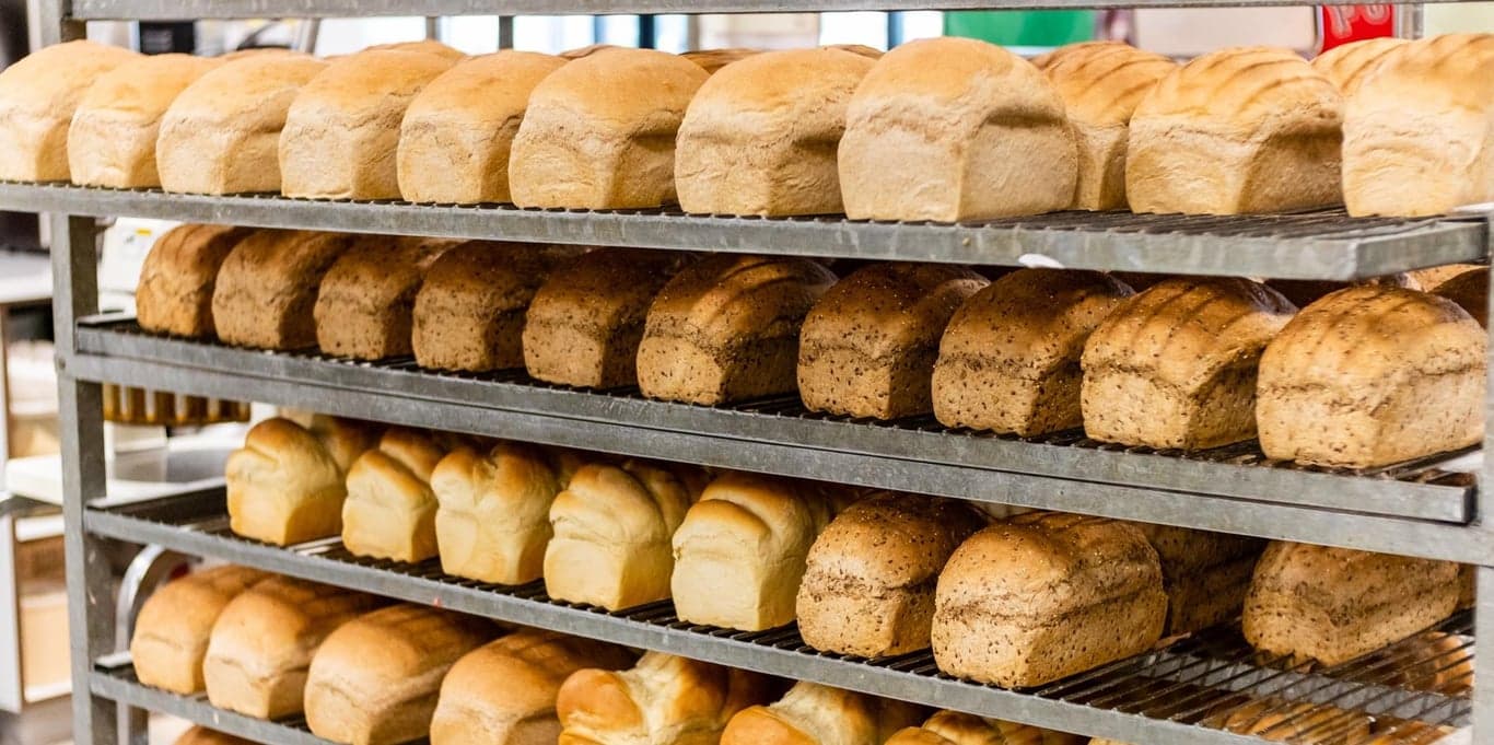 Image for Great Harvest Bread Co of Provo