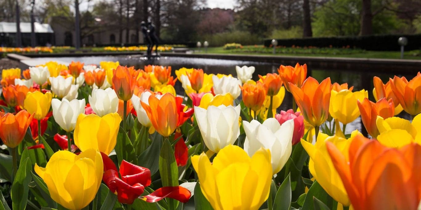 Image for Missouri Botanical Garden