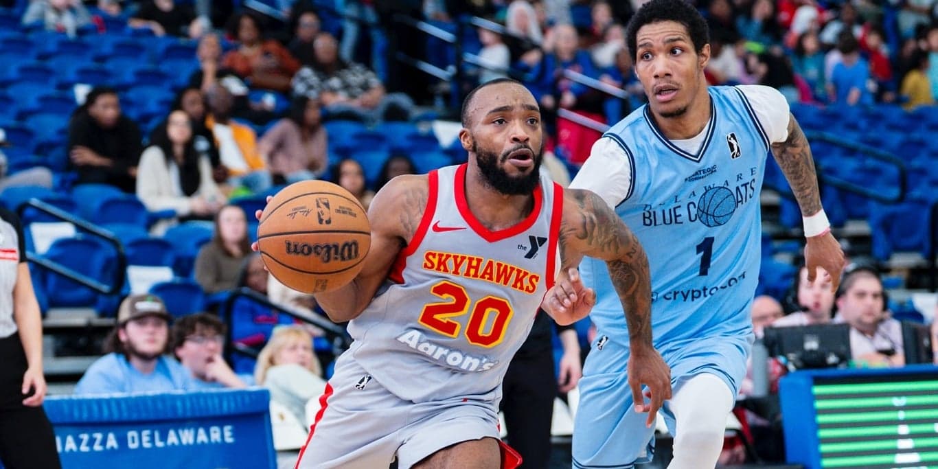 Image for College Park Skyhawks