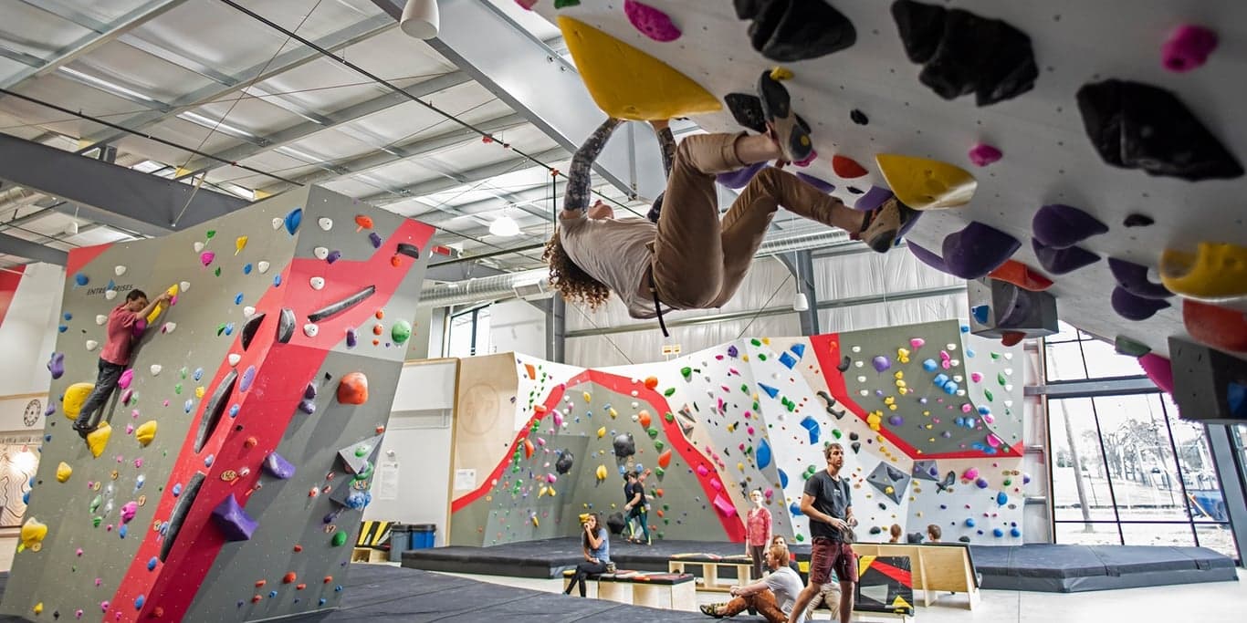 Image for Shaker Rocks