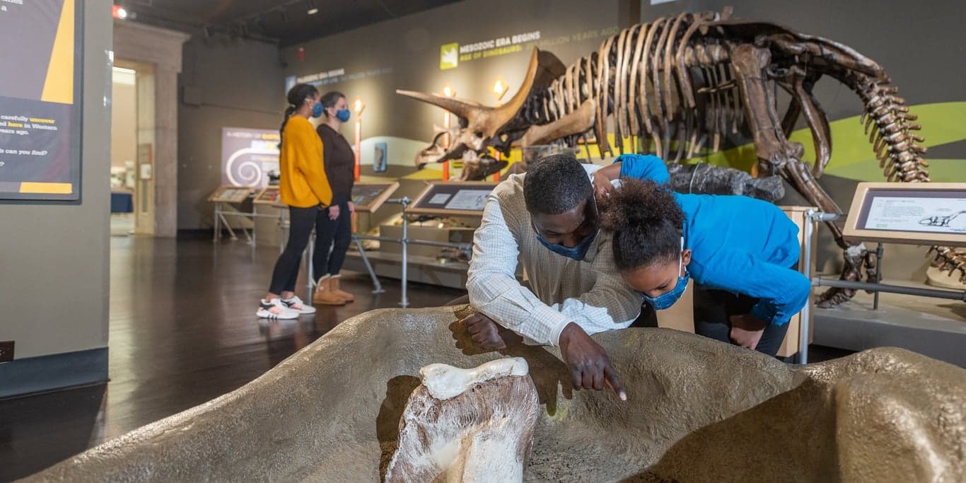 Image for Buffalo Museum of Science