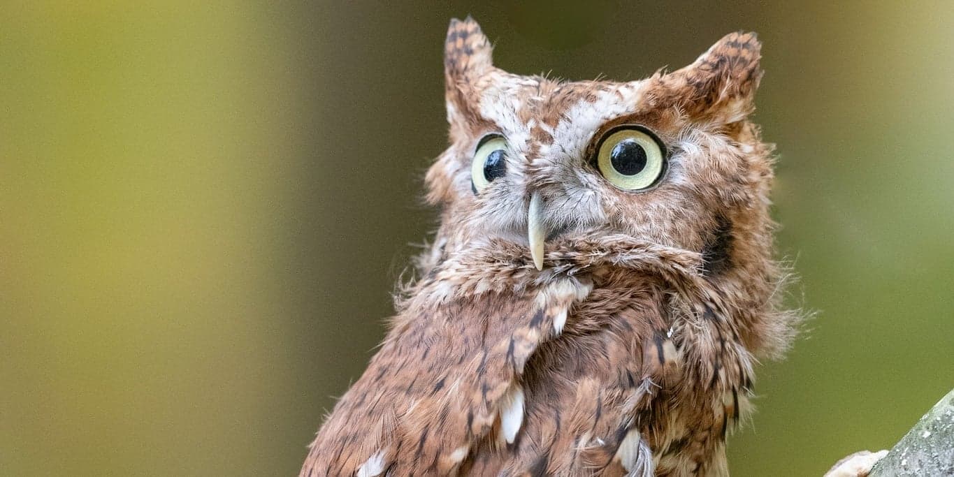 Image for Blandford Nature Center