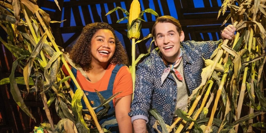 Image for The Fabulous Fox