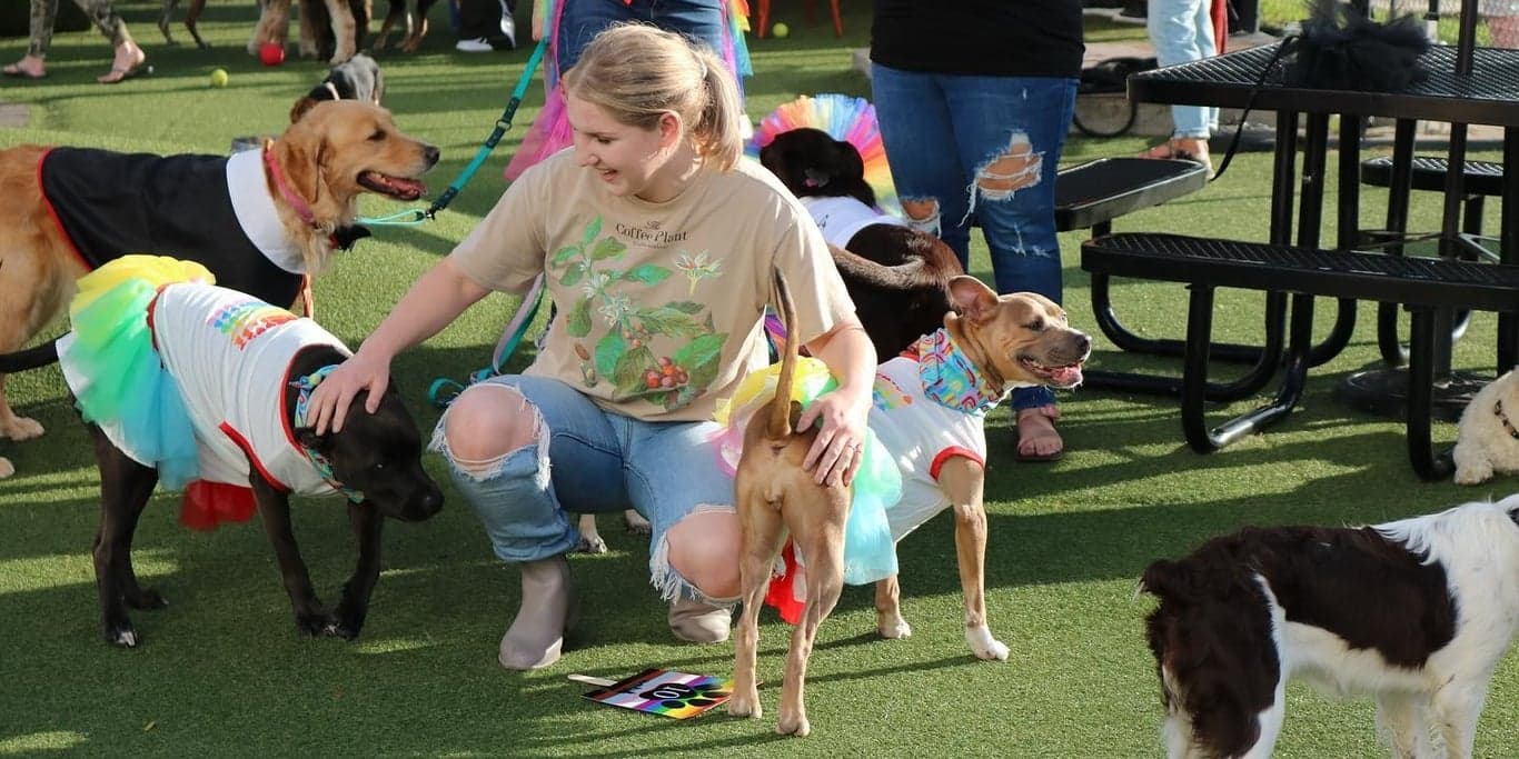 Image for Play Wash Pint 