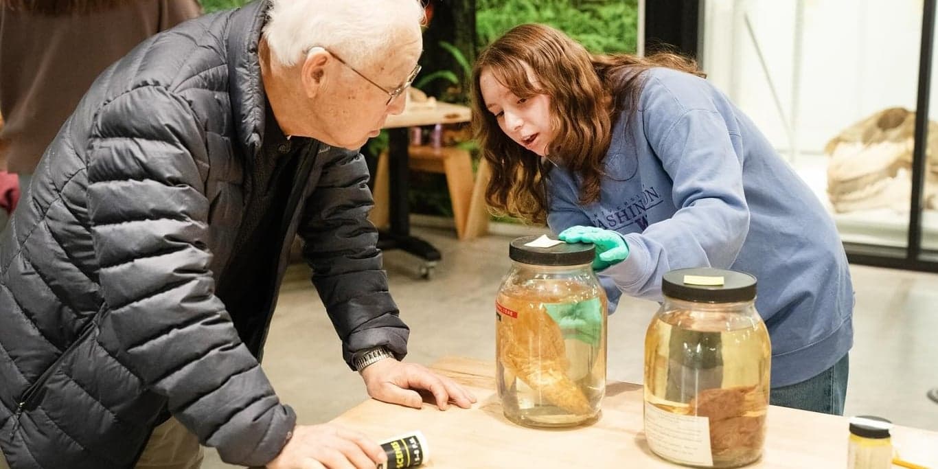 Image for Burke Museum