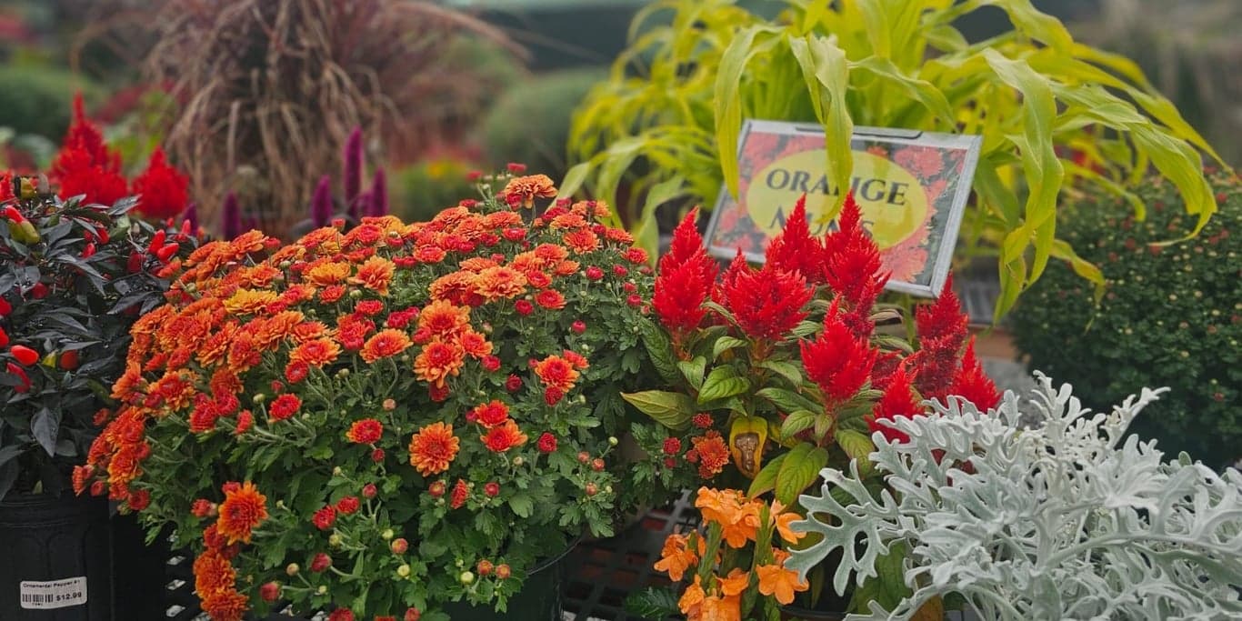 Image for Herbein's Garden Center 