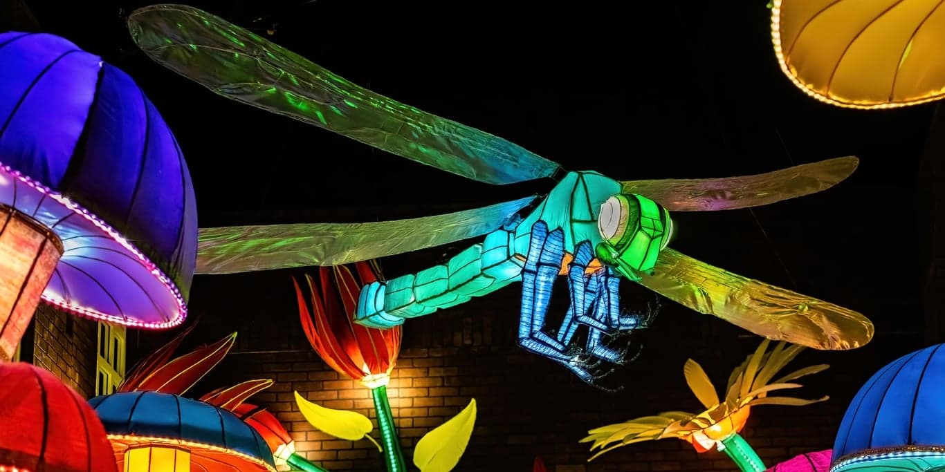 Image for Concept Attractions