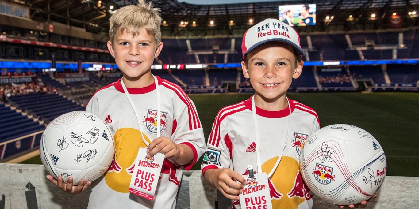 Image for The New York Red Bulls