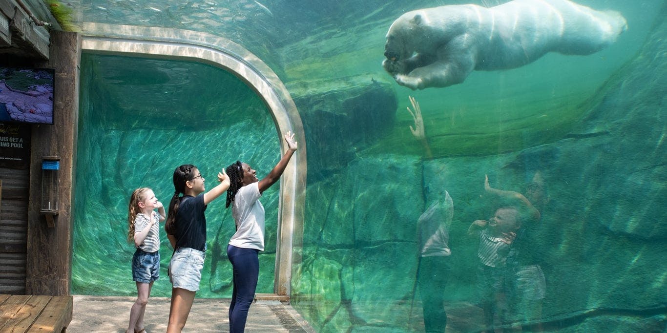 Image for Columbus Zoo and Aquarium